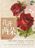 花开两朵各表一枝什么意思