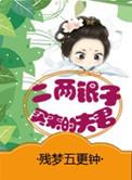 二两银子买来的夫君txt