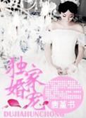 独家婚宠琛少的娇妻