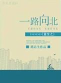重生之一路向北攻受的感情线