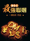 重生之最强联姻 笔趣阁