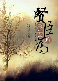 重生之贤臣难为 牧白