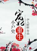 宠妃重生小户史作者伊人睽睽