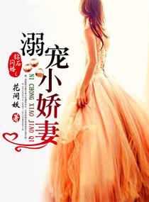 钻石闪婚之溺宠小娇妻全文免费阅读