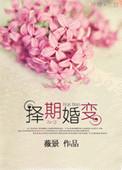 择期婚变内容