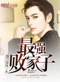 最强败家子2纳兰凌风TXT