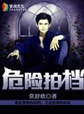 危险拍档免费阅读