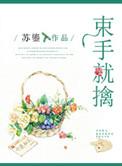 束手就擒吧韩队长