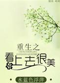 看上去很美总结