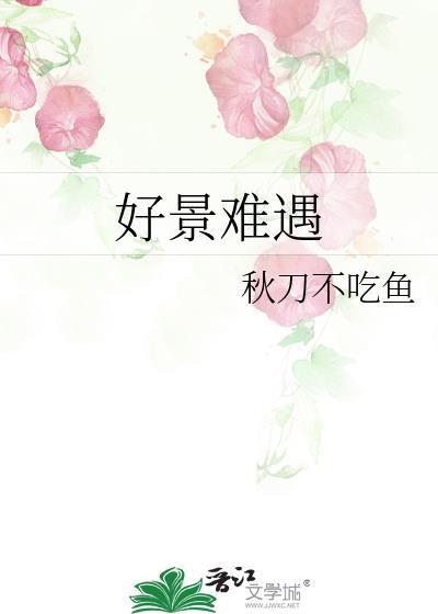 好景难遇 如我一般是什么意思