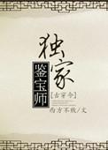 鉴宝大师全文阅读