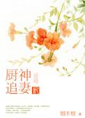 电视剧厨神