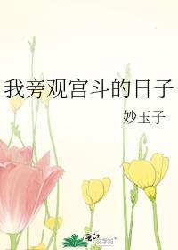 我旁观宫斗的日子晋江