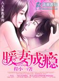 暖妻成瘾全文