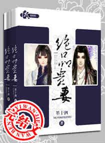 绝品贵妻免费阅读