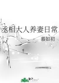丞相大人养妻日常晋江慕如初