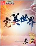 完美世界聘任萧泓为董事