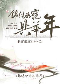 锦绣华年的意思