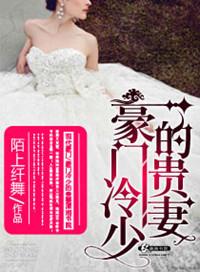 豪门霸爱冷少的天价娇妻