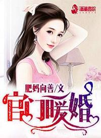 暖婚的官场