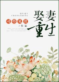 娶男妻重生