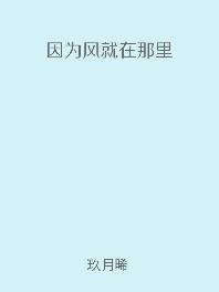 因为风就在那里全文未删减
