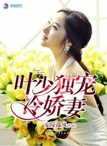 叶少的娇宠甜妻不欢而遇