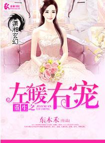 重生之左暖右爱百度阅读