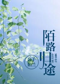 陌路是归途 在线阅读