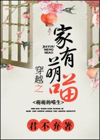 穿越之家有小夫郎免费阅读