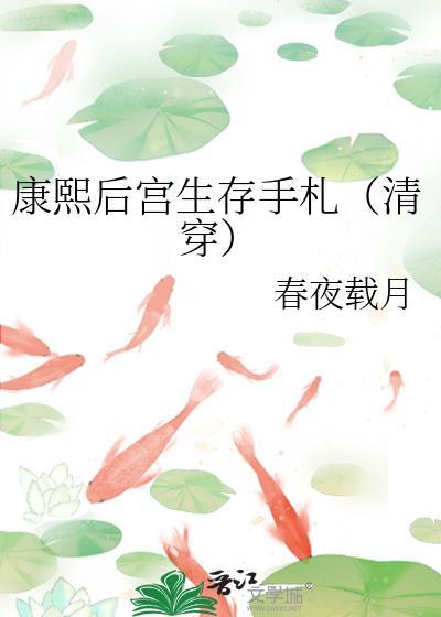 清穿康熙后宫宠文