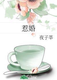 惹婚上门全文免费阅读