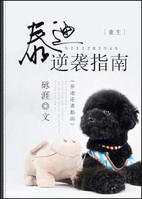 泰迪逆袭指南第二期完整