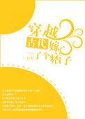 穿越古代嫁了个痞子 作者目妤