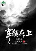 重生之宰辅在上 讲的什么