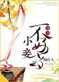 小妾不好当书