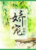 娇宠重生小妾