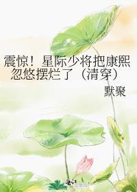 星际少将宠夫记免费阅读