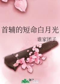 首辅的短命白月光苏晋
