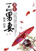 耽美文重生之一品夫人