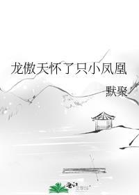 龙傲天怀了只小凤凰_默聚