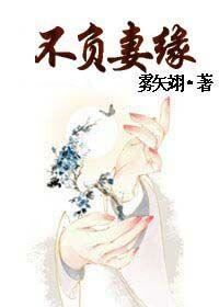 不负妻缘大结局是什么