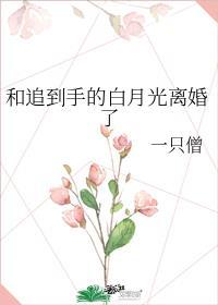 和追到手的白月光离婚了txt