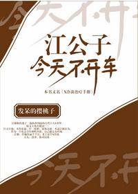 江公子今天不开车全文免费未删减