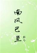 南风已至在线阅读