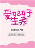 爱妃生孩子