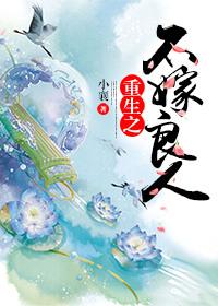 重生之不嫁何撩