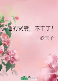 去他的贤妻不干了免费阅读