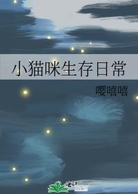 小猫咪生存日常视频