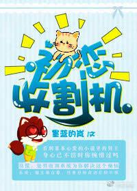 初恋收割机快穿墨蓝的岚